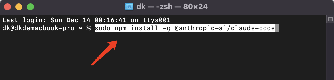 npm install 安装 Claude Code